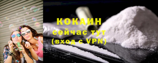 гидра Пересвет