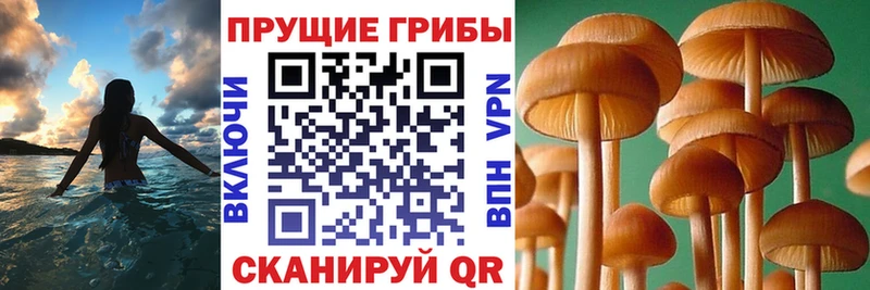 Галлюциногенные грибы MAGIC MUSHROOMS  Краснокаменск 
